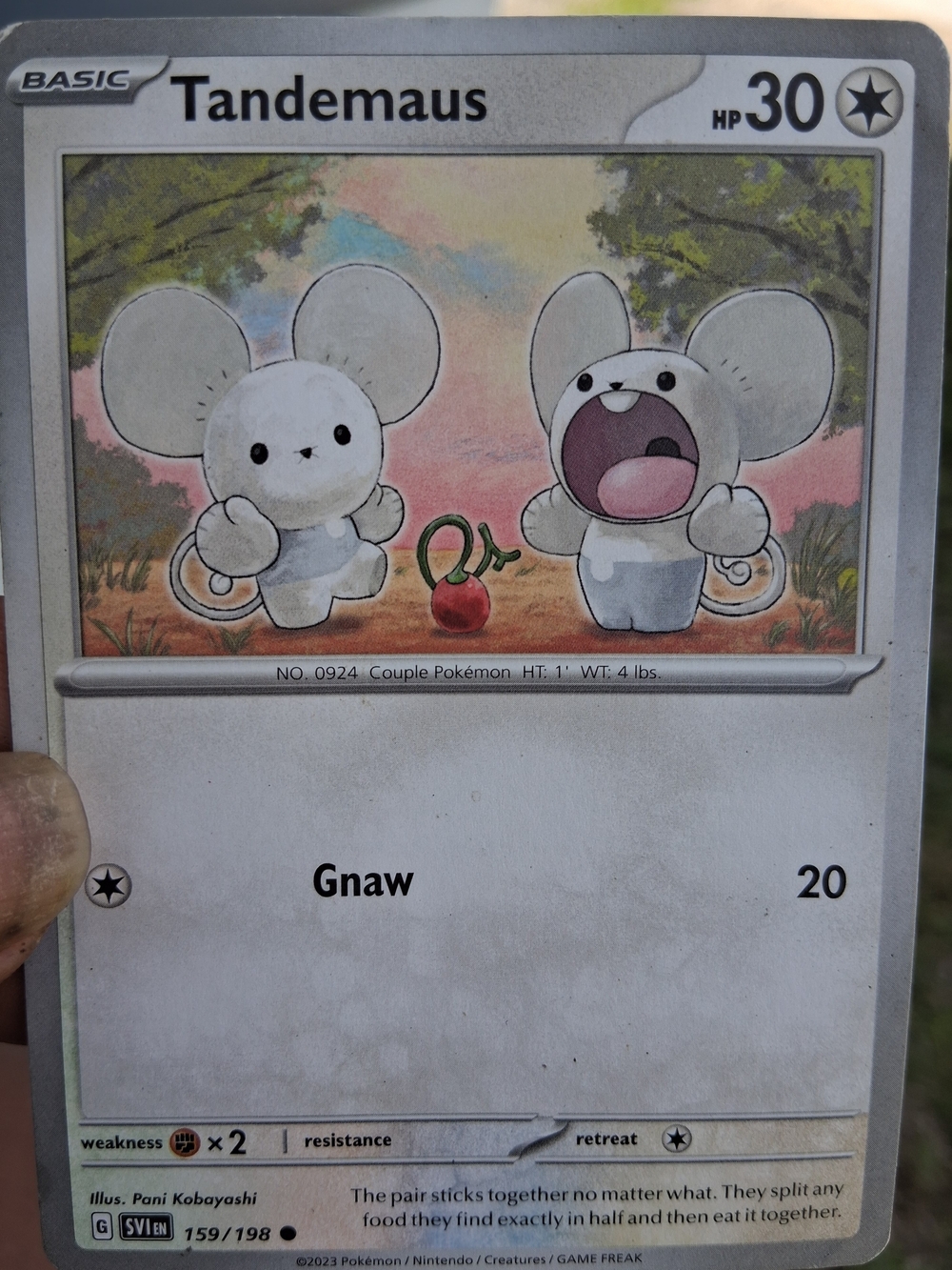 Pokémon Trading Card " Tandemaus "